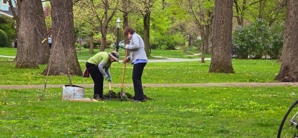 Workday: Big Ball Park