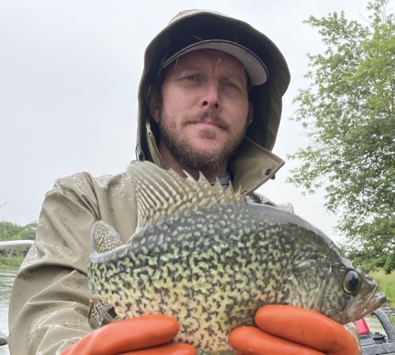 The Des Plaines River Undammed